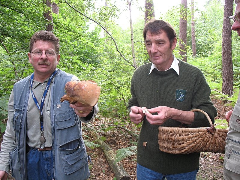 Myco Porte Baudet 07